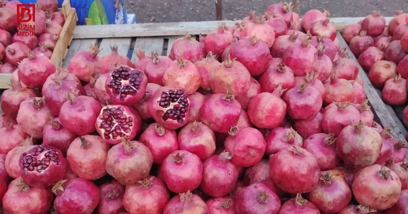 Bazarlarda nar “böhranı” Qiymətlər kəllə çarxa QALXDI FOTO