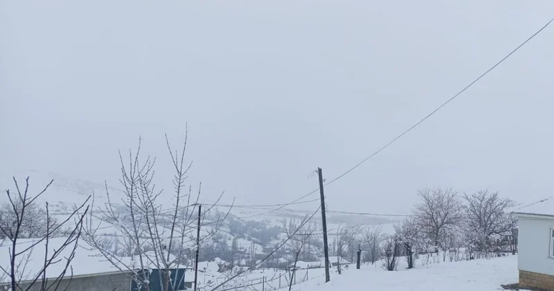 Cəlilabadda dağlarda qar 25 sm ə çatıb