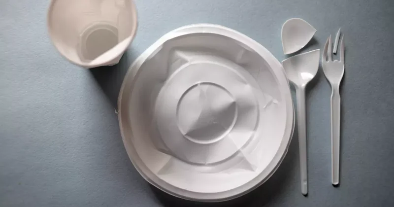 Борьба с пластиком в Грузии