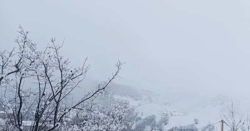 В горах Джалилабада снег достиг 25 см