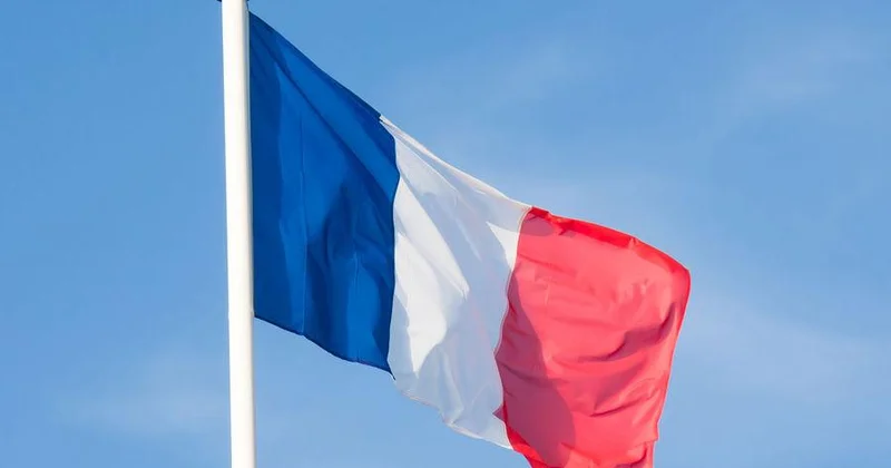 Франция нарушила правила Европейского союза: ПОДРОБНОСТИ