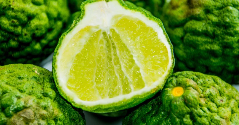 Ученые нашли природное средство против жировой болезни печени