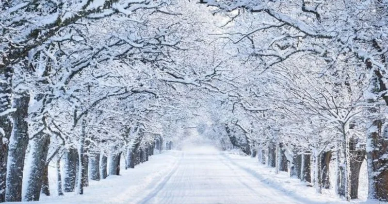 Ölkə üzrə bütün yollar nəzarətdə saxlanılır