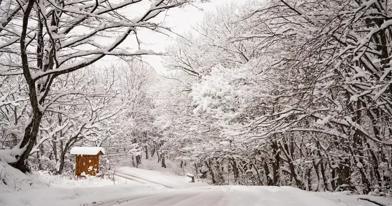 Впереди заморозки: погода в Грузии ухудшится