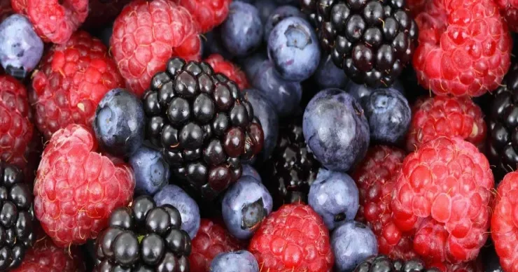 Kardioloqların ən faydalı hesab etdiyi giləmeyvələr