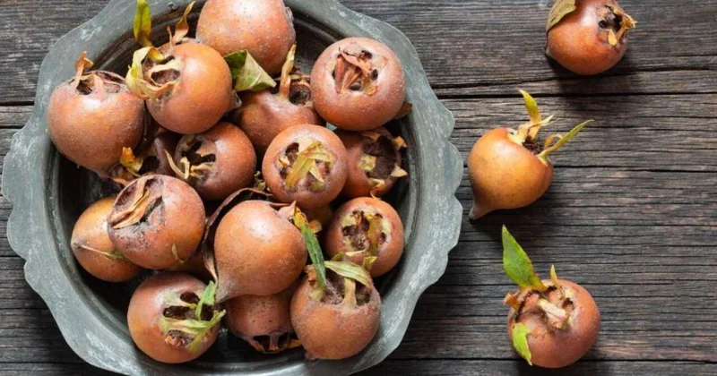 Əzgilin bu faydaları varmış...