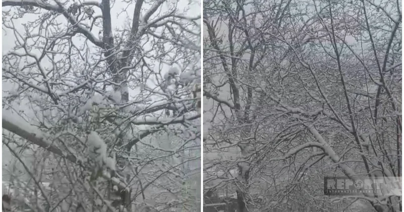 Qaxa 25 sm qar yağıb VİDEO