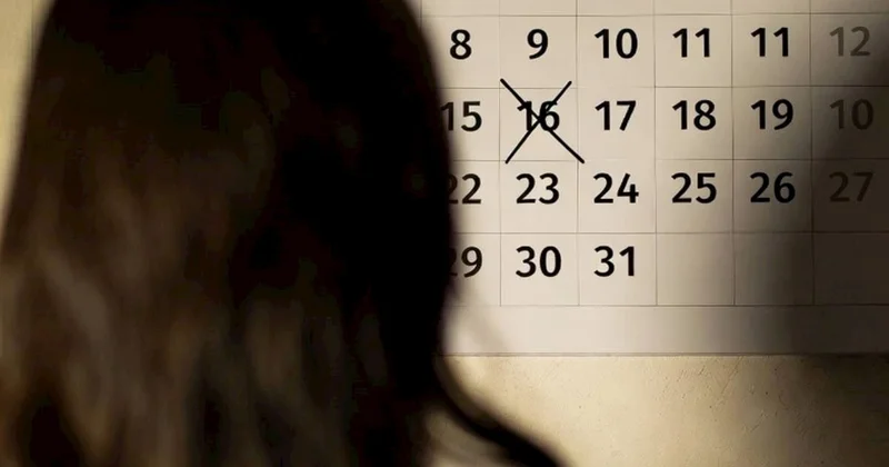 Fevralda neçə gün evdəyik?