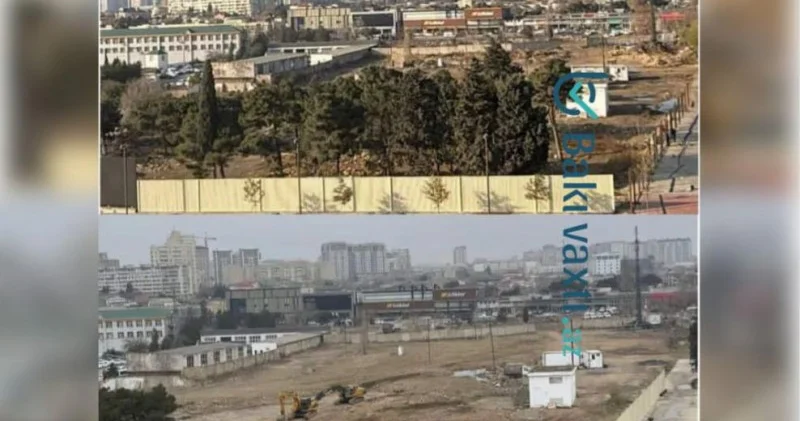 “Ağ Şəhər”də yaşıl soyqırım FOTOLAR