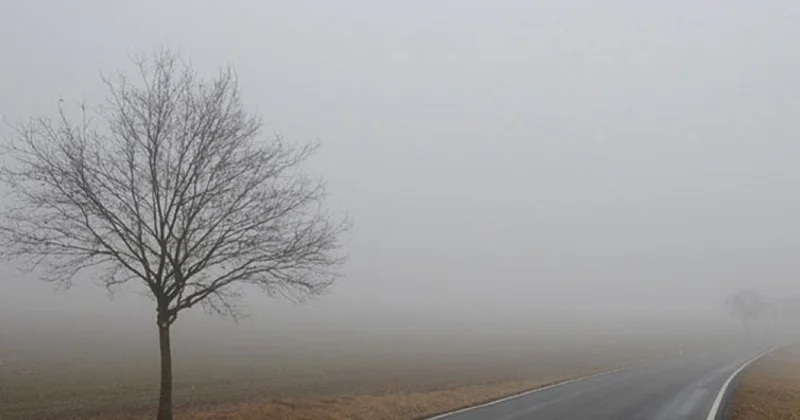 Во вторник местами ожидается туман и порывистый ветер