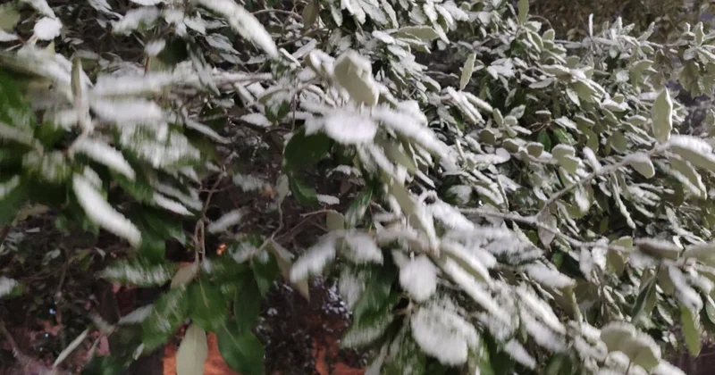 В Азербайджане температура понизится на 10 градусов