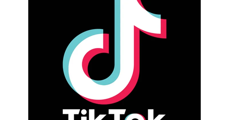 TikTok da əxlaqsızlıq yayan şəxs həbs edildi