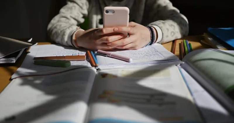 От социофобии до опасных игр: должно ли государство лишать детей доступа к соцсетям? ПРОБЛЕМА