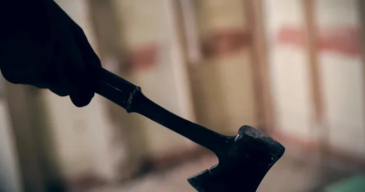 Стали известны детали нападения с топором на детей в Джалилабадском районе