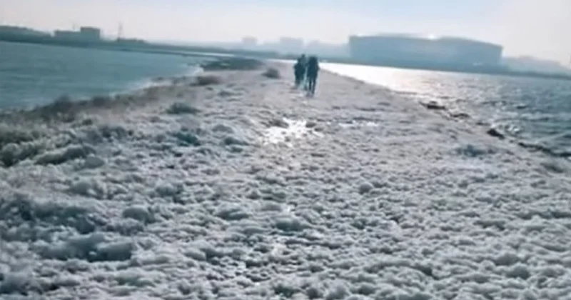 Böyükşor gölünün ətrafını bürüyən köpüklə bağlı açıqlama Video