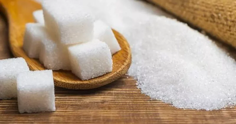 Египетская компания построит сахарный завод в Узбекистане