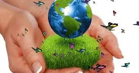 Eko hədə: ABŞ iqlim danışıqlarından niyə uzaqlaşır?