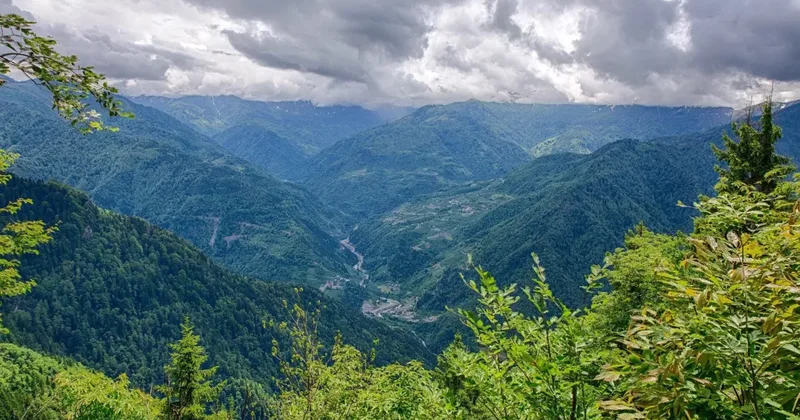 Агентство охраняемых территорий планирует увеличить площадь заповедников и Национальных парков в Грузии