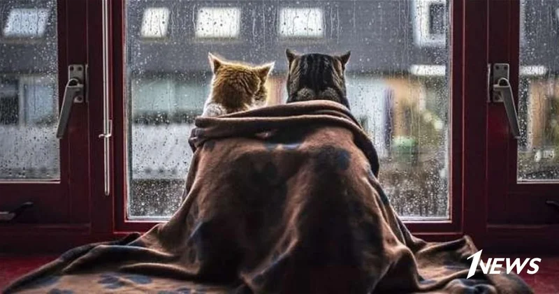 Баку ждёт похолодание и снег