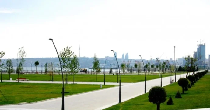 “Ağ Şəhər”də ağaclar gecə ilə MƏHV EDİLDİ FOTO