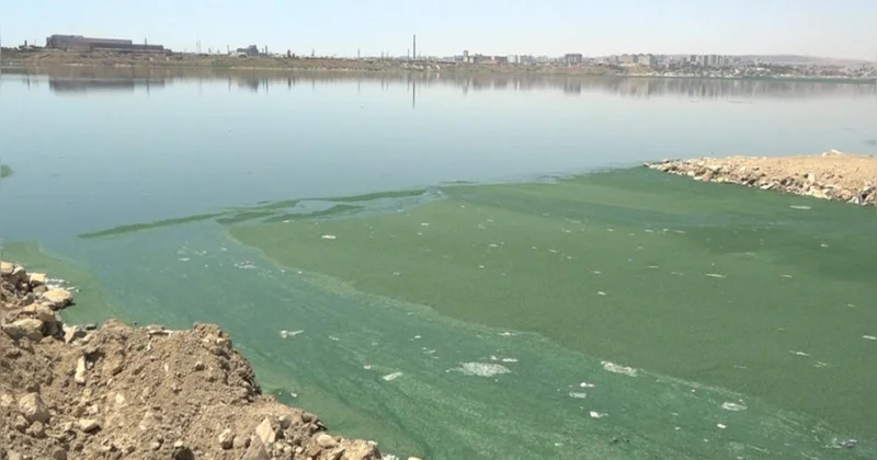 Böyükşor gölünə tullantı suları axıdanlar barəsində inzibati protokol tərtib edilib