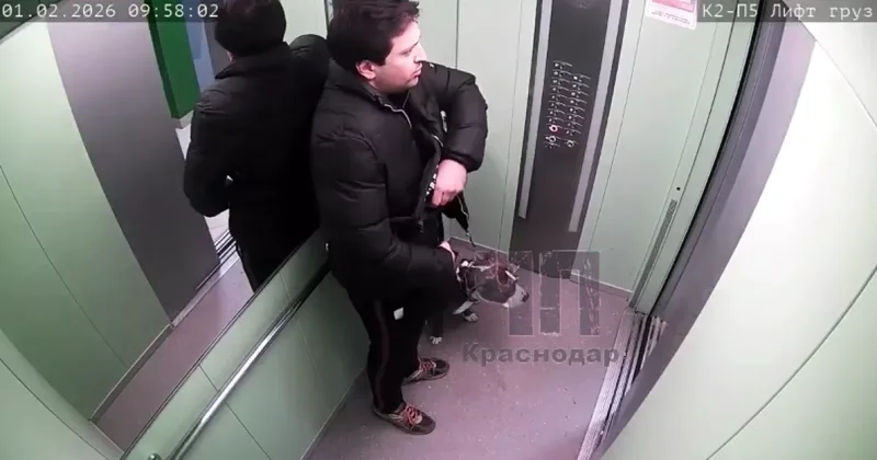 В России ищут мужчину, избившего собаку в лифте: ВИДЕО