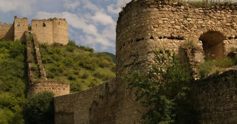 Qarabağ regionunun florasının öyrənilməsi istiqamətində tədqiqatlar aparılır