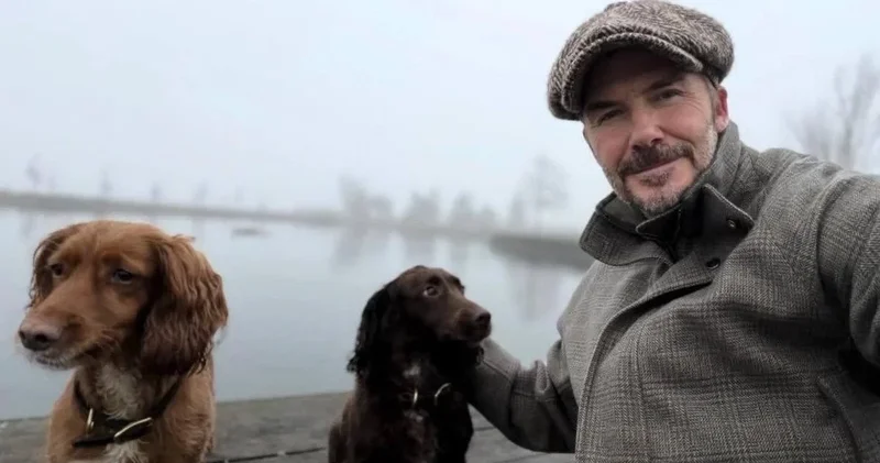 Дэвид Бекхэм поделился милыми кадрами с питомцами ФОТО