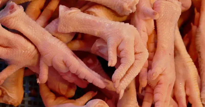 Россия лидер по выручке от экспорта куриных лап в Китай