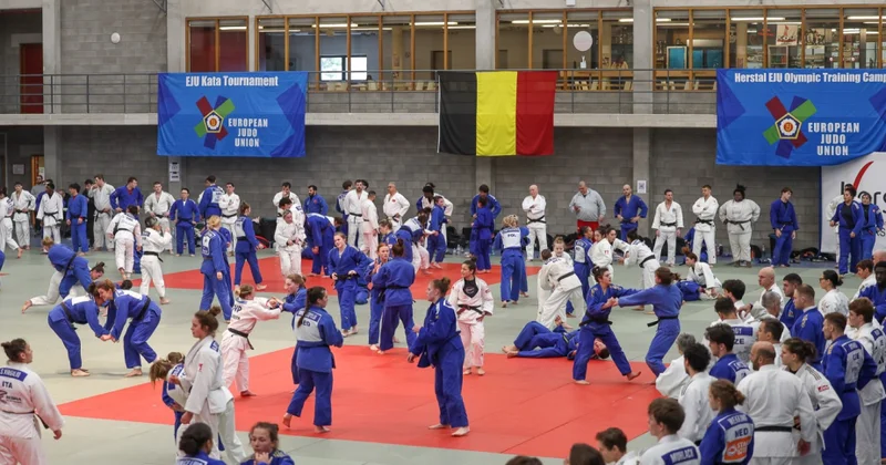 Azərbaycanın 35 cüdoçusu Belçikada beynəlxalq təlim məşq toplanışına qatılıb