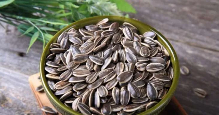 Tum çırtdamağın FAYDALARI