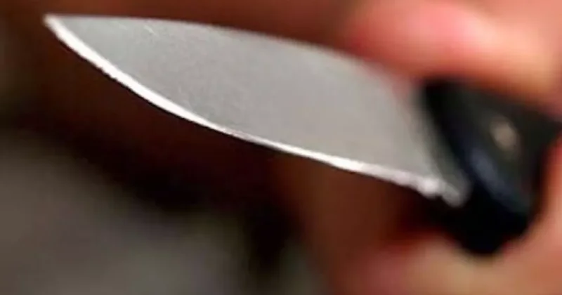 В Баку девочка нанесла отцу ножевое ранение, чтобы защитить мать от избиения
