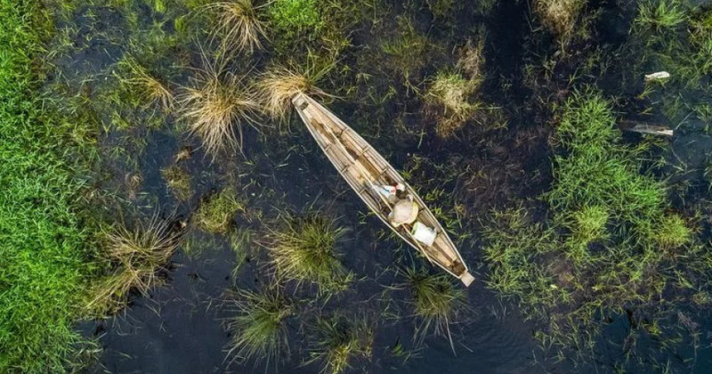 Fevralın 2 si Ümumdünya Su Bataqlıq Əraziləri Günüdür