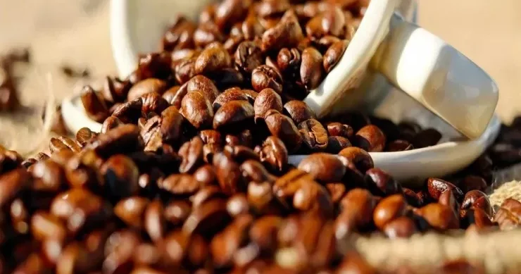 Bu ölkələrin qəhvəsini almayın Mütəxəssislər xəbərdarlıq edir