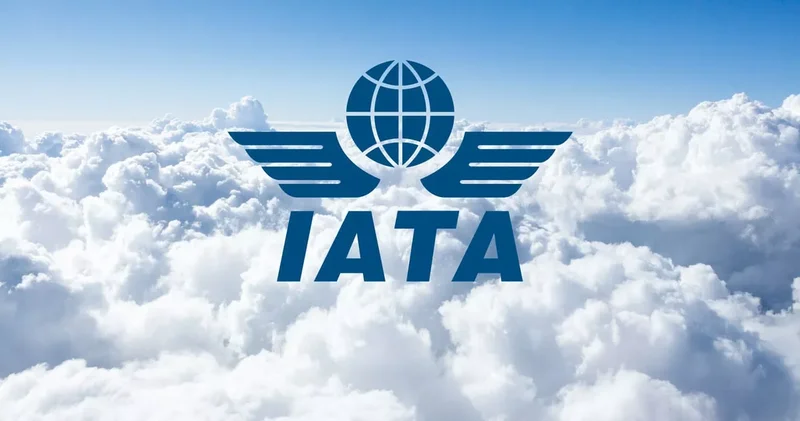 IATA о самой болезненной теме для авиакомпаний