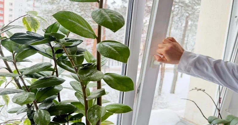 Pəncərələri gündə iki dəfə açmaq lazımdır