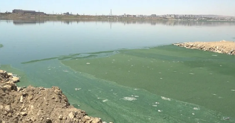 Сточные воды продолжают загрязнять озеро Бёюкшор