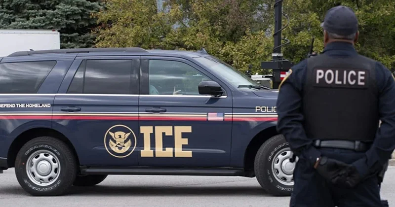 Saxlanma mərkəzlərində qızılca YAYILIB