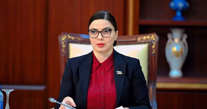 Körfəz regionunun strateji yeri: Oman, Bəhreyn və BƏƏ ilə münasibətlərin yeni tərəfdaşlıq mərhələsi