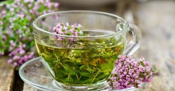 Azərbaycanlıların sevimli çayı təbii antibiotikdir: Avropa alimləri rəsmən təsdiqlədi