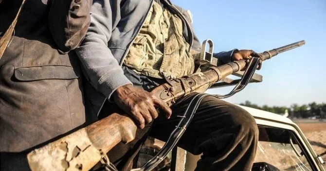 Nigeriyada Boko Haram a qarşı əməliyyat: 11 terrorçu öldürülüb