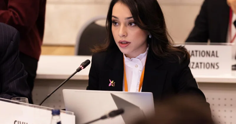 “Azərbaycan Mədəniyyəti 2040” Konsepsiyasının konstitusion əsasları və insan hüquqlarının inkişafı ŞƏRH