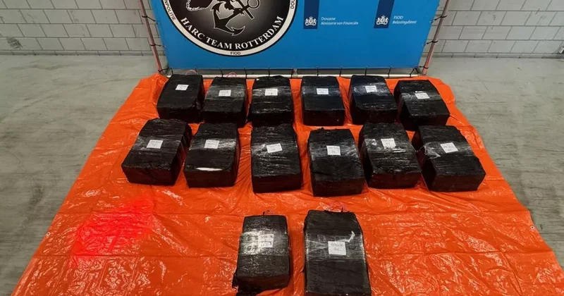 В Нидерландах вместе с манго обнаружили почти 500 кг наркотиков