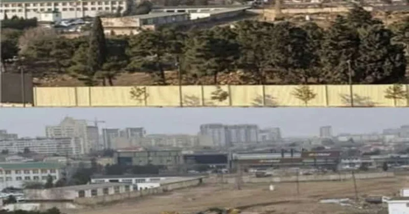 Xətai rayonunda yaşıllıq məhv edildi FOTO