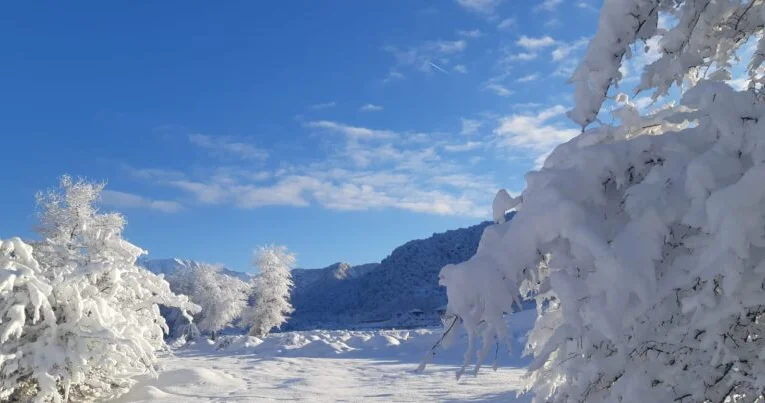 Bölgələrə qar yağacaq, güclü külək əsəcək