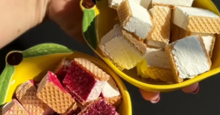 Qurudulmuş dondurmalarla bağlı AQTA dan AÇIQLAMA