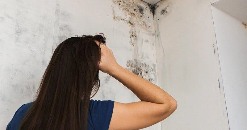 Divardaki kifdən 3 addımda XİLAS OL