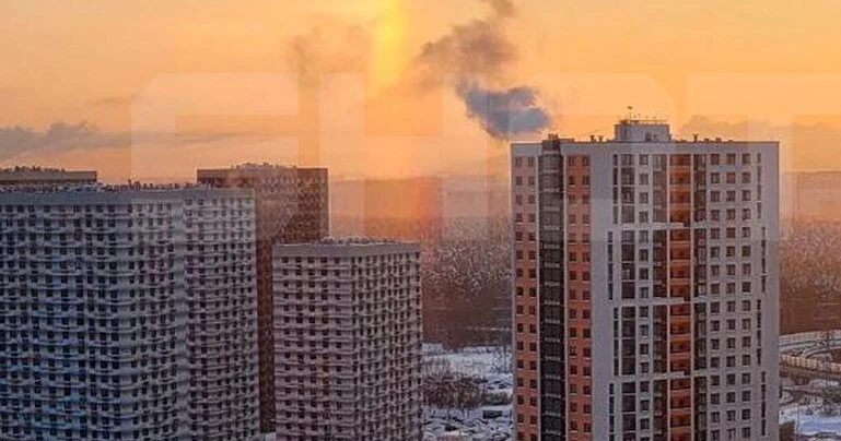 Pişiklər mənzildə yanğın törətdilər