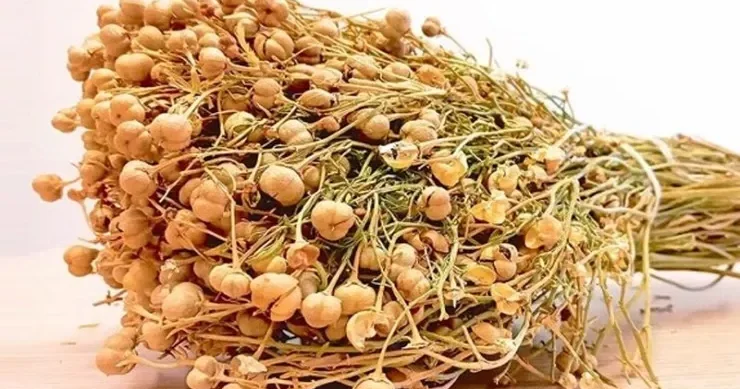 Üzərliklə bağlı daha bir qurumdan XƏBƏRDARLIQ