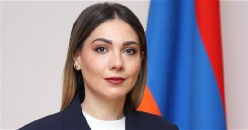 Мир важнее формулировок: Глава минюста о новой конституции Армении